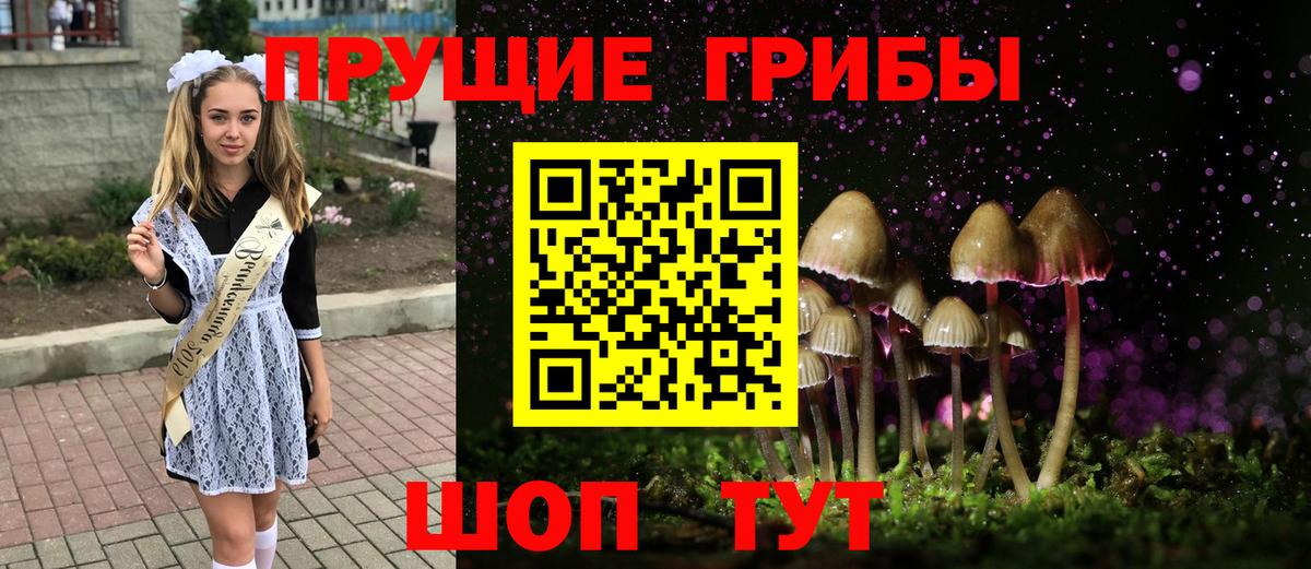 Галлюциногенные грибы GOLDEN TEACHER Екатеринбург