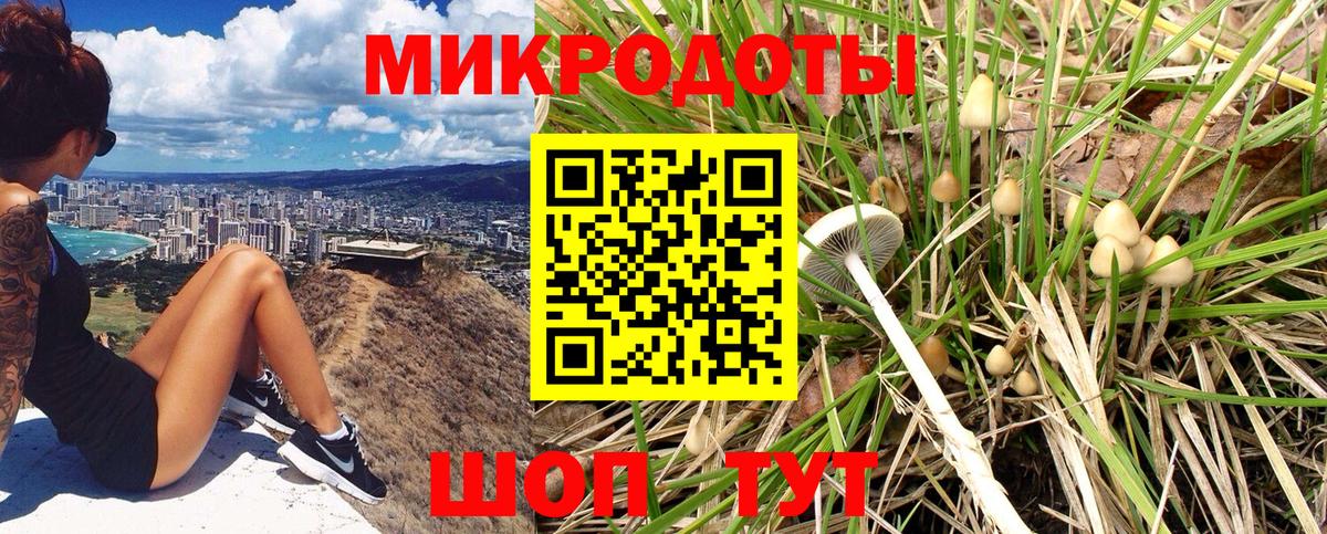 Екатеринбург  Галлюциногенные грибы мицелий  Вход с VPN 